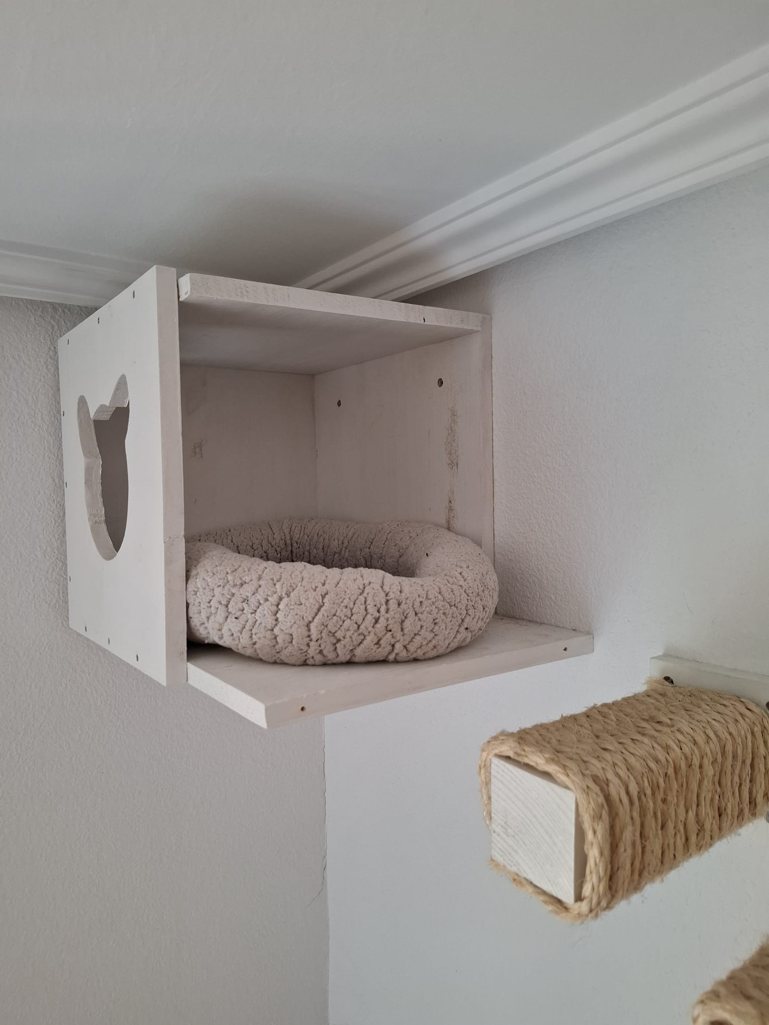 Plataformas de Pared