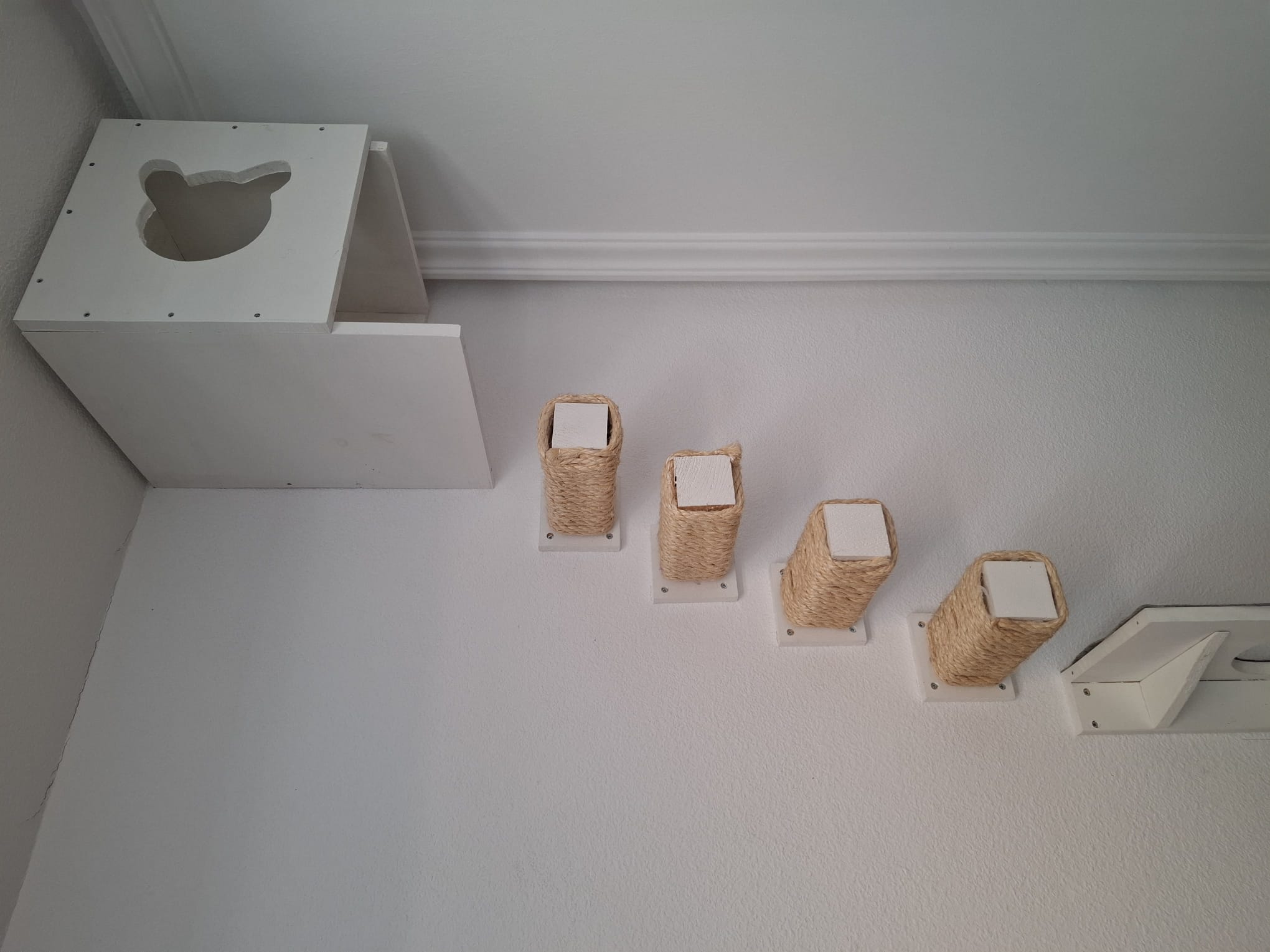 Estación de Observación