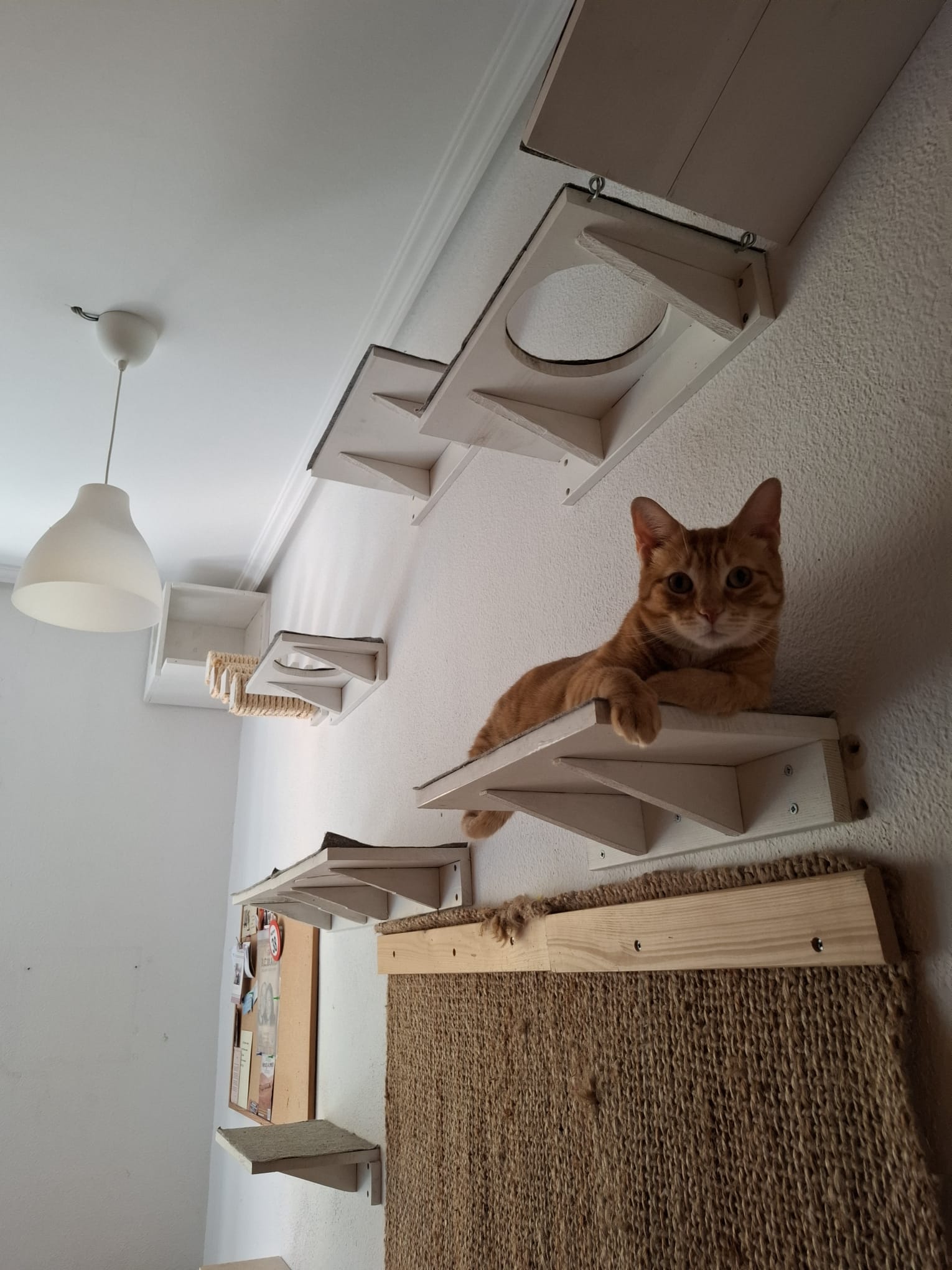 Plataforma de Descanso